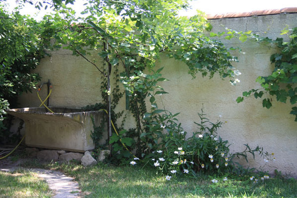 Vue du Jardin de la Chambre d'hôtes