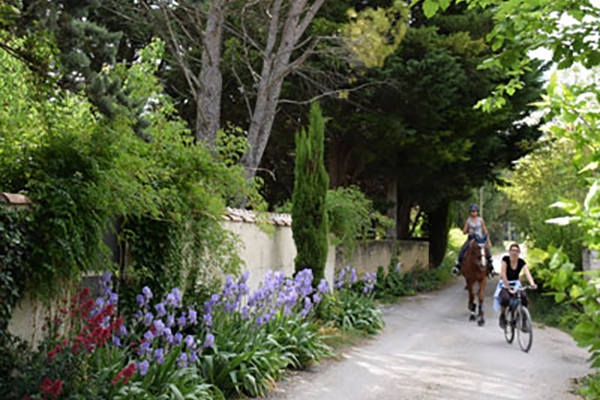 Arrivée à la Maison des Invités par le Chemin des Pommiers