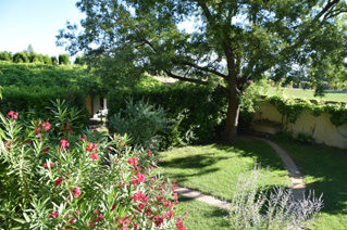 Vue du Jardin de la Chambre d'hôtes