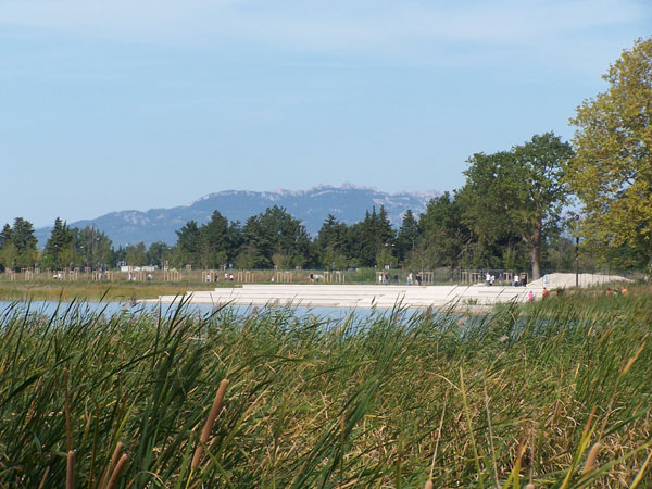 Lac de Beaulieu et Mont Ventoux