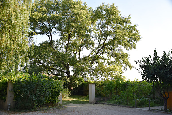 Vue de l'habitation des propriétaires de la Maison des Invités